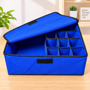 Premium Multi-Compartment Storage Organizer